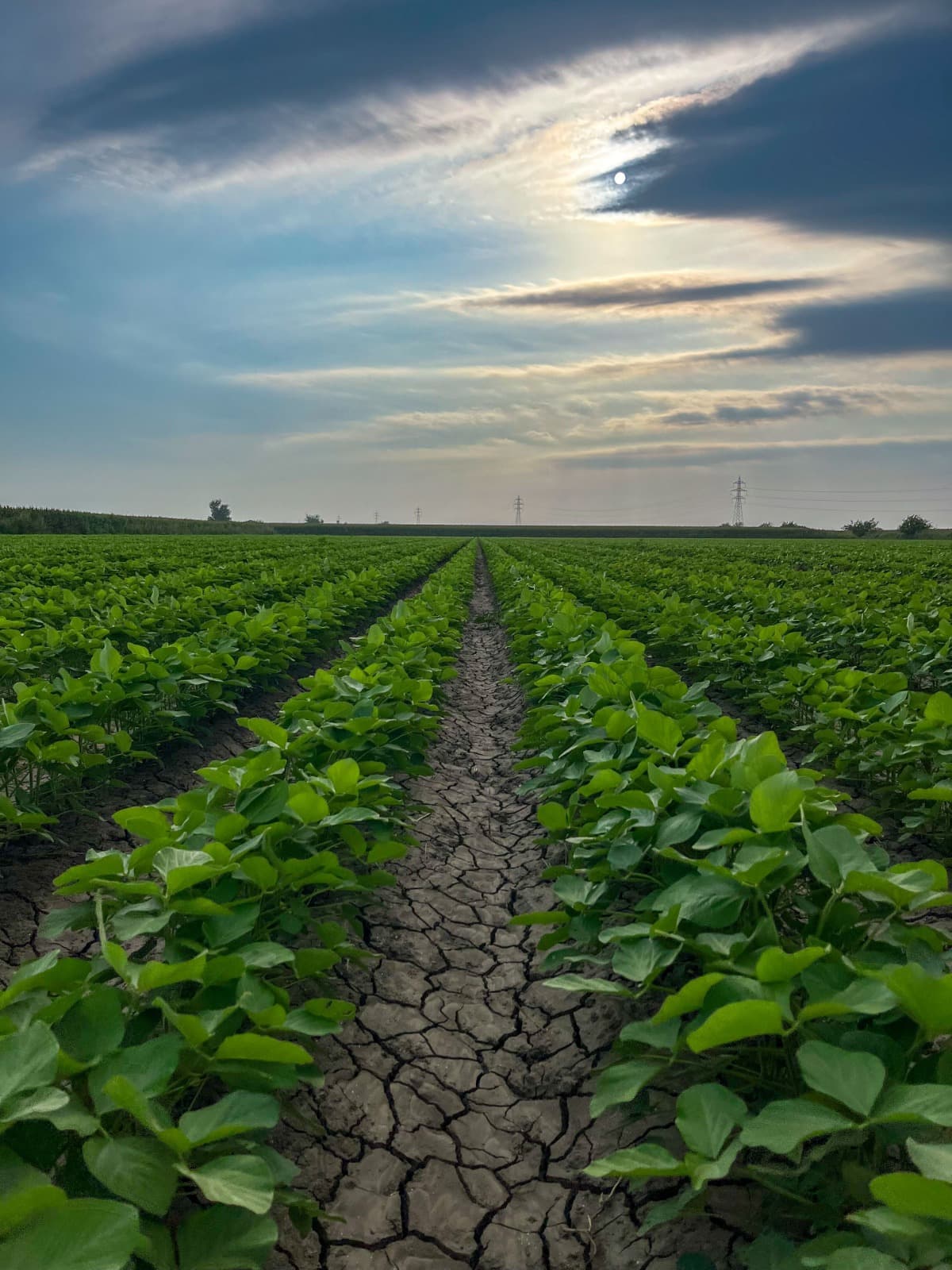 Agro, fruticultura y agroindustria